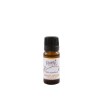 Sweet Orange Essential Oil